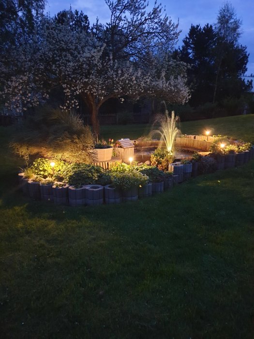 Trädgård i skymningen med upplysta rabatter och blommande träd.