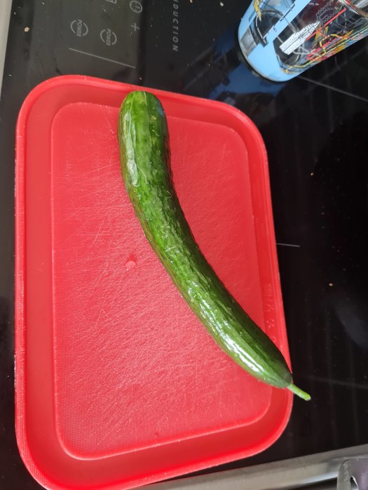 En färsk källargurka ligger på en röd skärbräda.