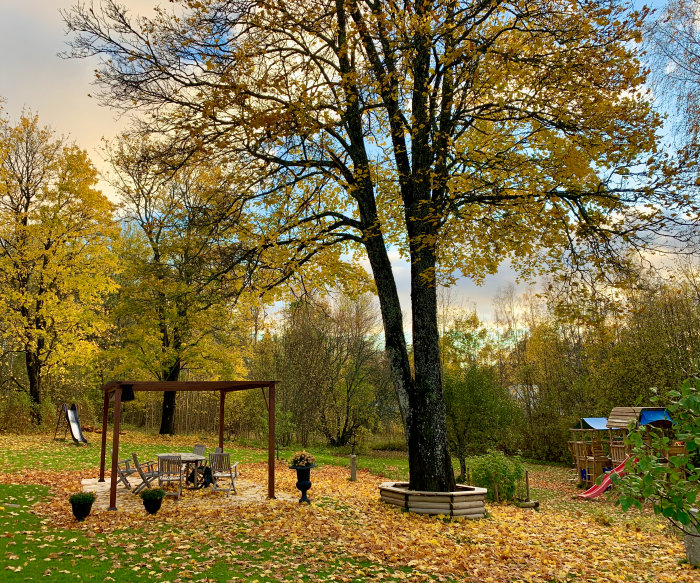 Höstträdgård med löv på marken, pergola, sittgrupp, lekstuga och frodig gräsmatta.