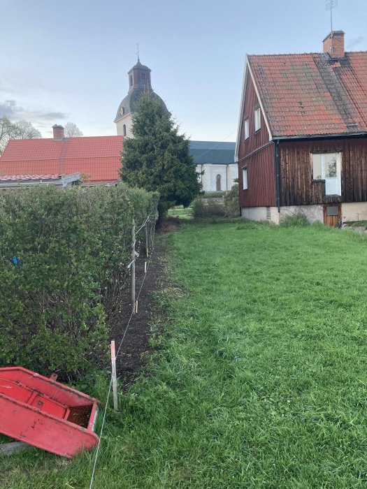 Beskuren häck längs en trådmarkering vid en trädgårdsgräns med röd skottkärra och hus i bakgrunden.