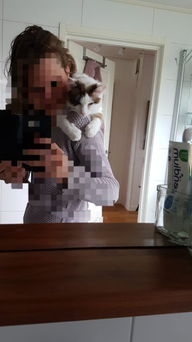 Person som håller en katt framför en spegel, ansikten pixlade för integritet.