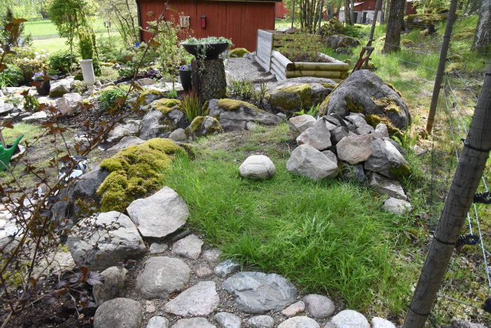 Trädgård med björkstubbe och nyplanterade gräs, omgiven av stenar, lite verktyg syns.