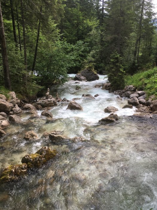 En skogsbäck med klart vatten flödande över stenar.