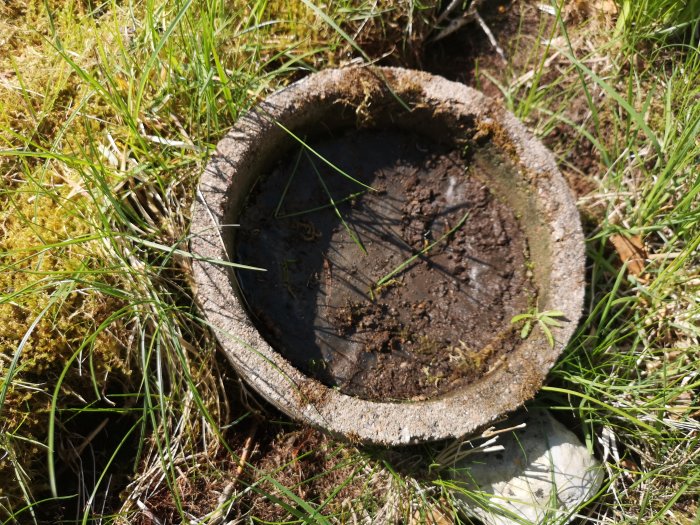 Brunn med sprucket fundament inbäddat i gräsmark.