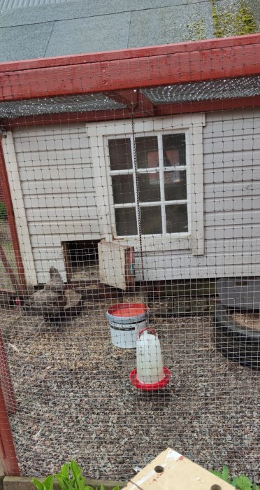 Ett nymålat rött hönshus med en hönsgård framför och matbehållare för höns.