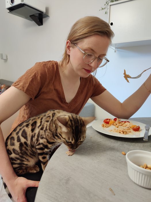 Kvinna vid matbord tittar på bengalkatt som äter från tallrik.