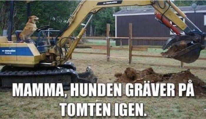 Hund sitter i grävmaskinen och ser ut att gräva i marken med text "MAMMA, HUNDEN GRÄVER PÅ TOMTEN IGEN.