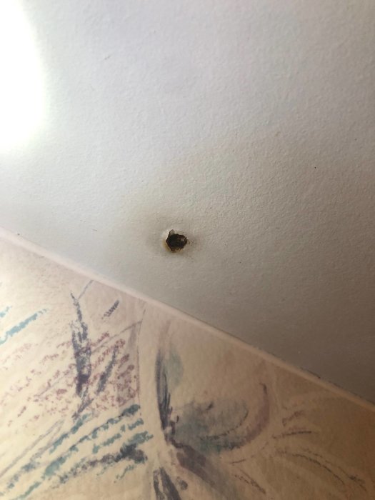 Rostig spikskalle med mörk missfärgning på en vägg ovanför tapet med blåmönstrade linjer.