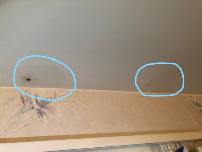 Tak med rostiga spikskallar och mörka fläckar markerade med blå cirklar.