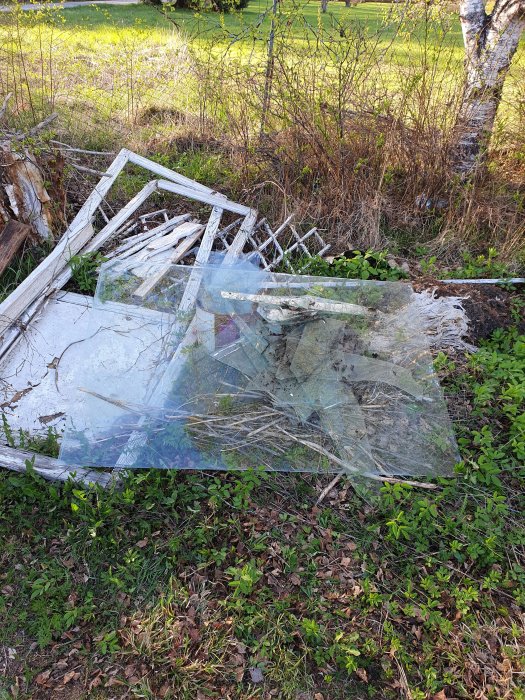 Raserat växthus av gamla fönster som ligger i gräset.