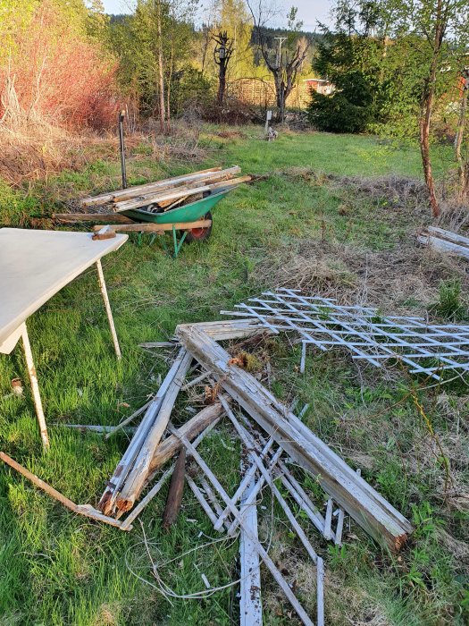 Gamla, nedmonterade fönster på en gräsmatta, några liggandes i en skottkärra, som del i ett växthusprojekt.