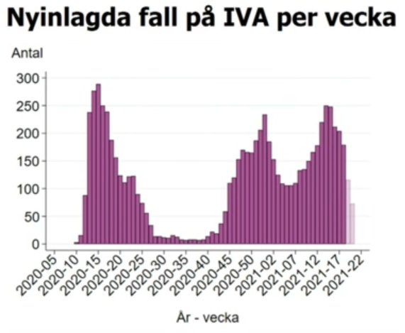 Stapeldiagram över nyinlagda fall på IVA per vecka, visar fluktuerande antal utan accelererande trend.