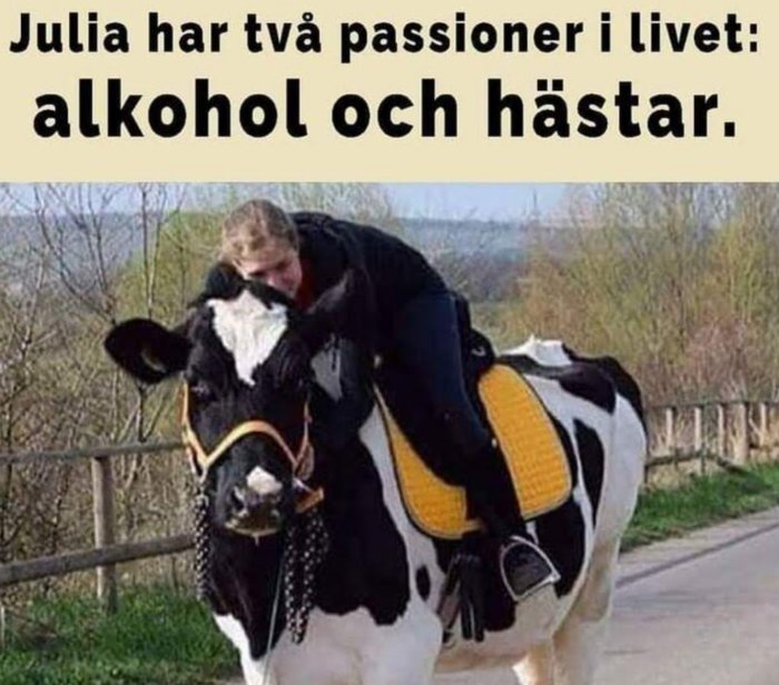 Person som kramar en ko utomhus, med text som antyder humor om alkohol och hästar.