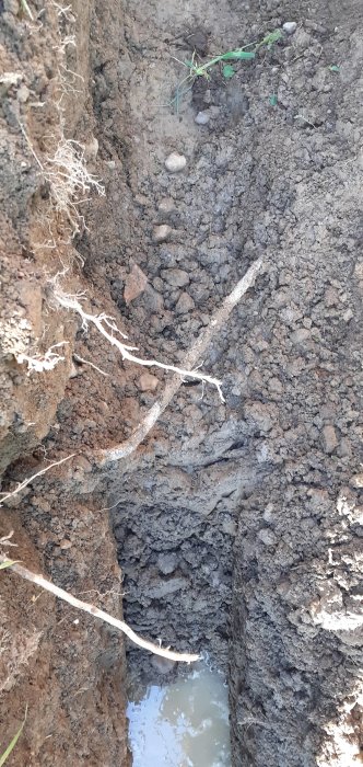 Grävd jordgrop som visar en exponerad böjd elkabel med vattenansamling i botten.