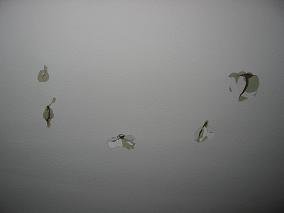 IMG_3048.JPG
