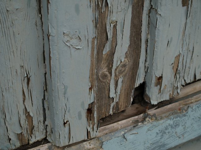 P3093822.jpg
