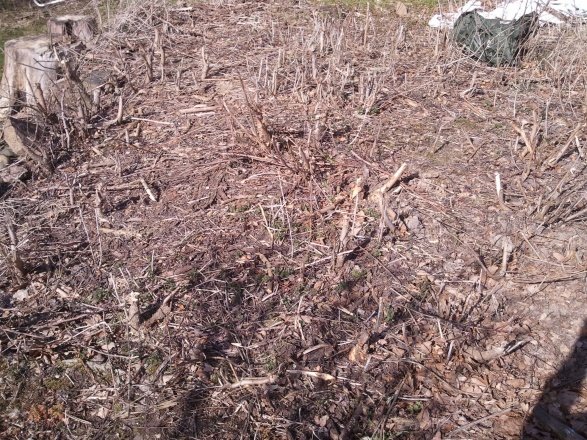 2012-03-29 14.51.47.jpg