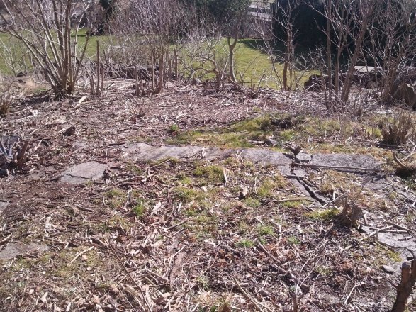 2012-03-29 14.51.56.jpg