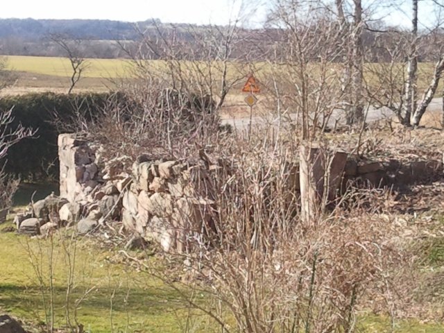 2012-03-29 15.49.47.jpg