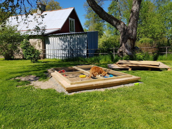 Nybyggd sandlåda med träram och lock på en solig trädgård, hund nosar i sanden, gammalt lock vid sidan.