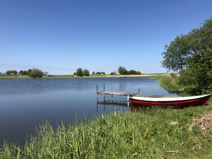 Röd roddbåt vid träbrygga, lugnt vattenskåd, gröna fält och träd under klarblå himmel.