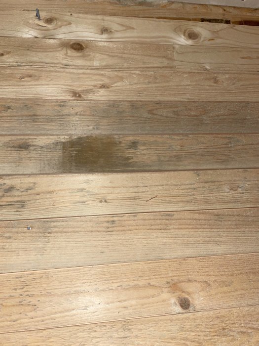 Träplankor på vind med en mörkare fläck som kan vara smuts, missfärgning eller mögel.