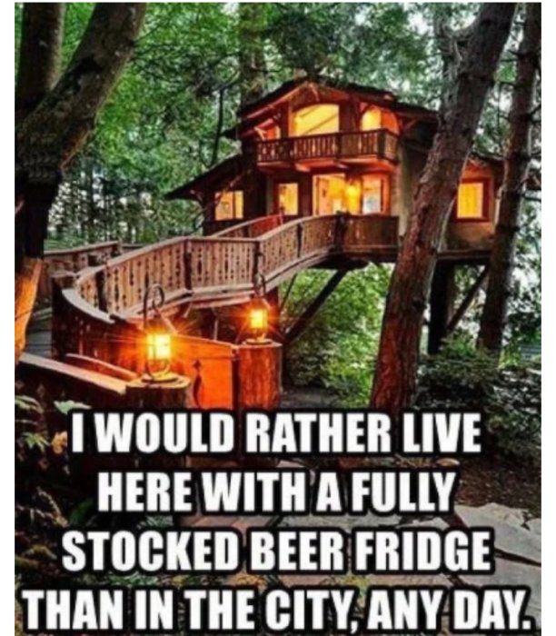 Trädkoja med upplysta fönster i skogen med en text som lyder "I would rather live here with a fully stocked beer fridge than in the city, any day.