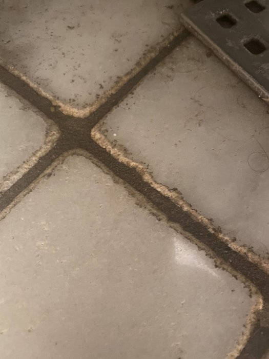 Närbild på mögel eller smuts mellan badrumskakel under badkar.