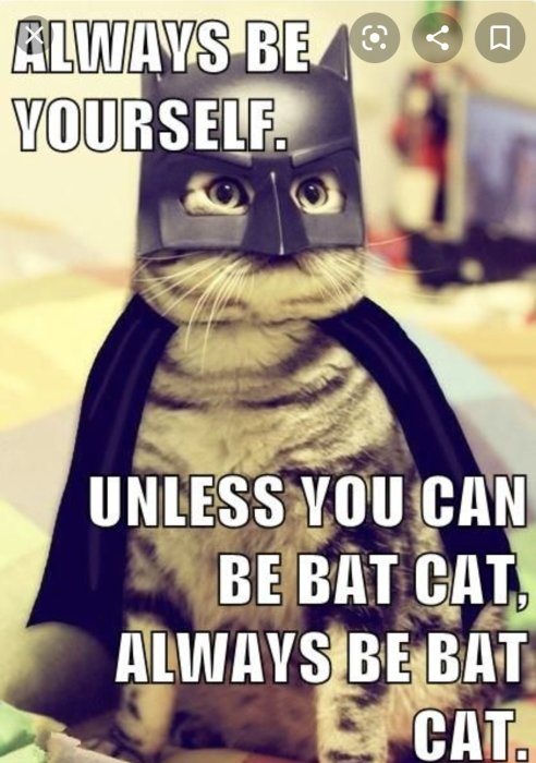 Katt klädd som en superhjälte med texten "Always be yourself. Unless you can be bat cat, always be bat cat.
