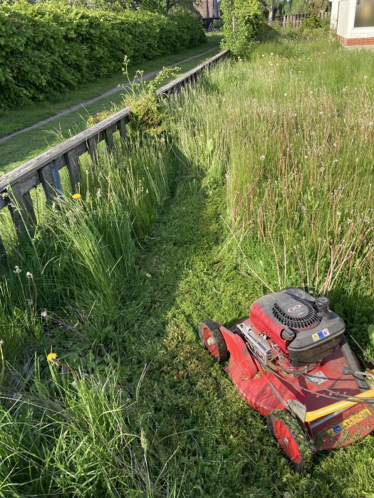 Gräsklippare i högt gräs vid en trädgård med staket och buskar i bakgrunden.