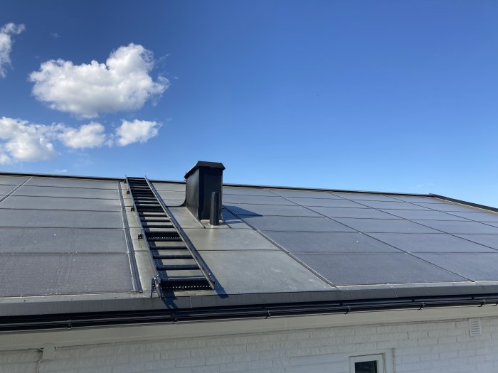 Solpaneler på ett hus med pollenbeläggning under en klarblå himmel.