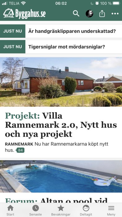 Skärmdump av en diskussionsforumssida med en artikel om ett husprojekt och en pool med uppblåsbar enhörning.