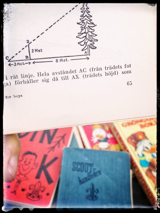 Illustration av träd och mätteknik från boken "Scouting för boys", med en suddig handhållen bok i förgrunden.