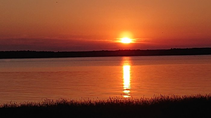 Solnedgång med orangefärgad himmel över stilla vatten med solspeglning och silhuett av vegetation.