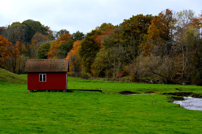 Ett litet rött hus med tegeltak framför en äng och höstskog med orange och gröna lövträd.