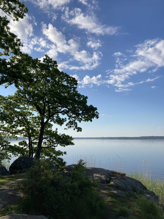 Sommarutsikt från en klippa med gröna träd, blå himmel med vita moln och lugnt vatten i en sjö.