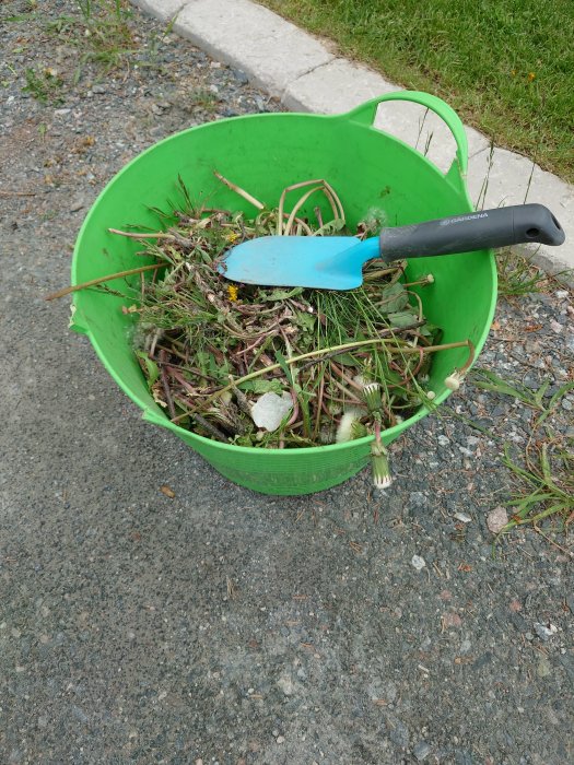 Grön hink fylld med trädgårdsavfall och en blå spade på en grusgång.