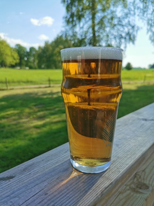 Ett glas med hembryggd pilsner i tjeckisk stil på ett träbord utomhus.