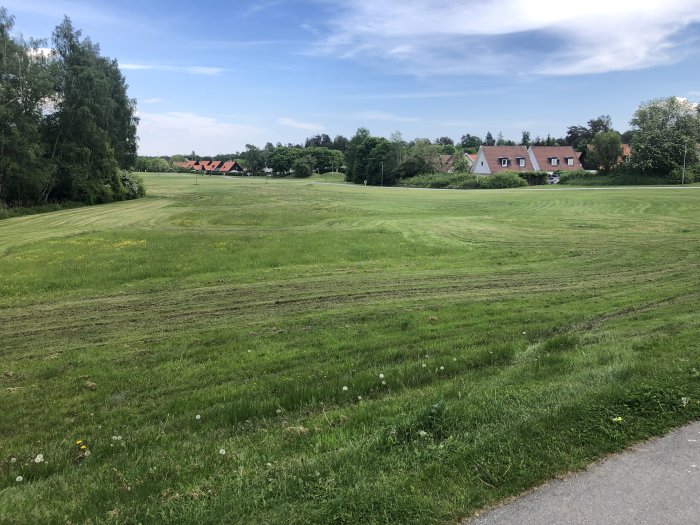 Gräsmatta med ojämna och slingrande klippmönster, bakgrund av träd och hus i dagsljus.