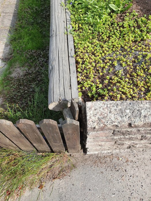 En stock ligger i linje med en stenmur, och andra stockar tryckta ur linje intill en väg och grönska.