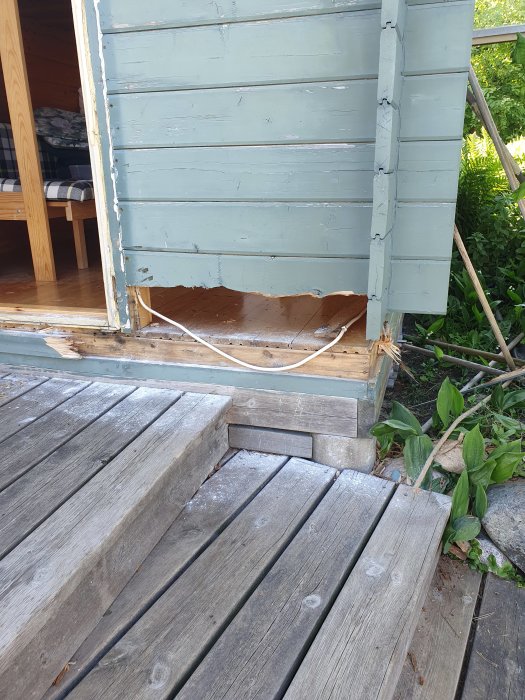 Skadad friggebodvägg med ett stort hål nära botten, omgiven av en trätrall och grönska.