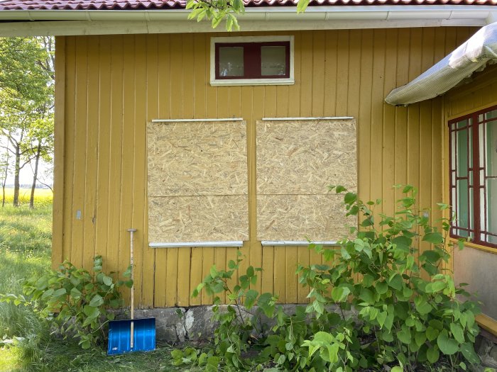 Gult hus med nymålade fasadplankor och två fönster täckta av OSB-skivor.