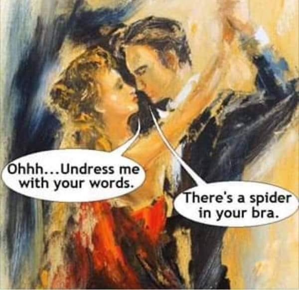 Målad illustration av ett par dansande, kvinnan säger "Undress me with your words", mannen svarar "There's a spider in your bra".