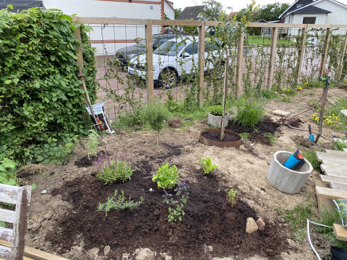 Nyanlagd trädgård med örter och blommor vid husentré med verktyg och staket.