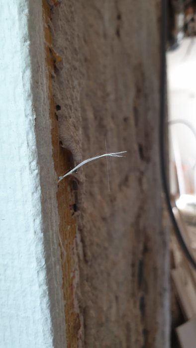 Närbild av en misstänkt asbestfiber som sticker ut från en vägg i ett hus från 1920.