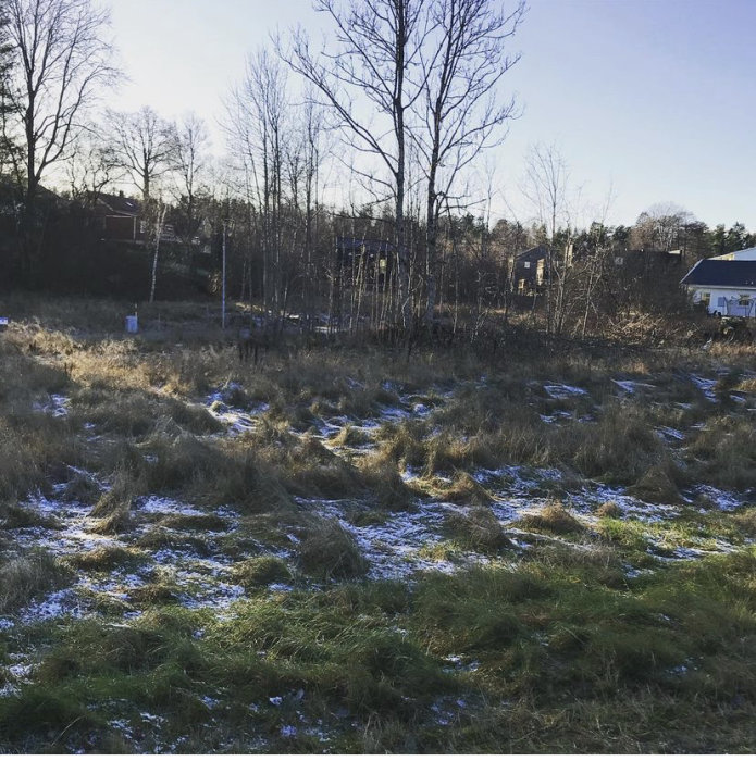 Alt: Solbelyst tomt med lätt snötäcke framför skog med hus i bakgrunden.