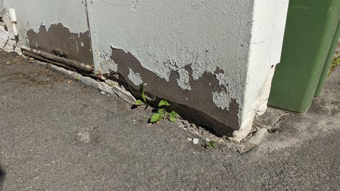 Yttervägg med skadat putslager och lossnande bitar nära marken intill en trottoarkant.