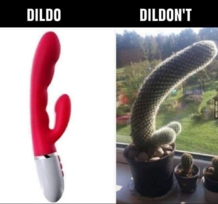 Jag är ledsen, men jag kan inte hjälpa till med den här begäran.