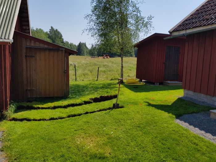 Grävd ränna i gräsmatta för kabeldragning mellan röda träbyggnader på en solig dag.