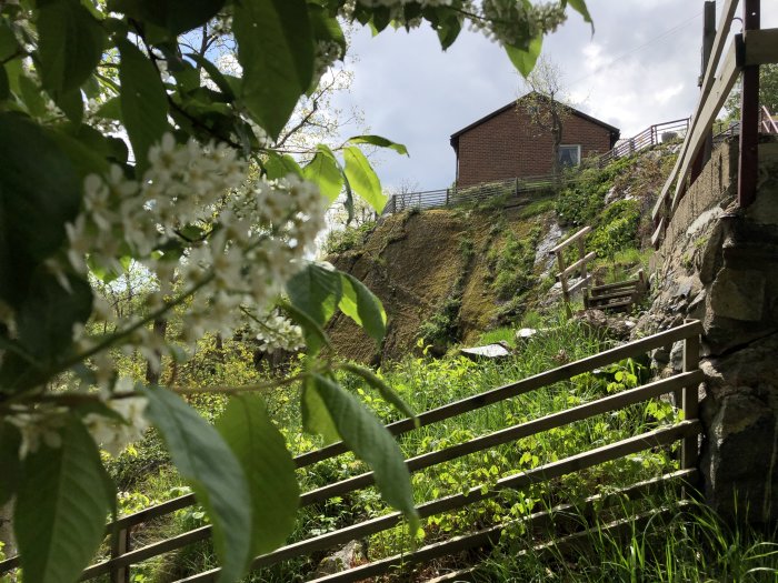 Vy av ett hus på en kulle tagen genom grönska och en trädgårdsstaket.